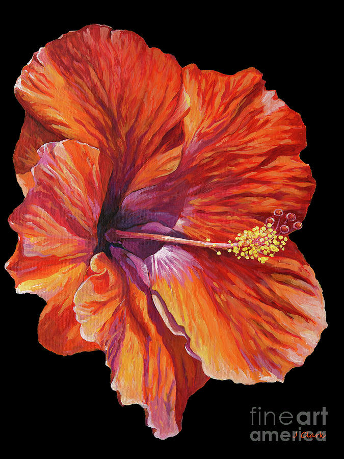 Red Hibiscus on Black Painting by John Clark