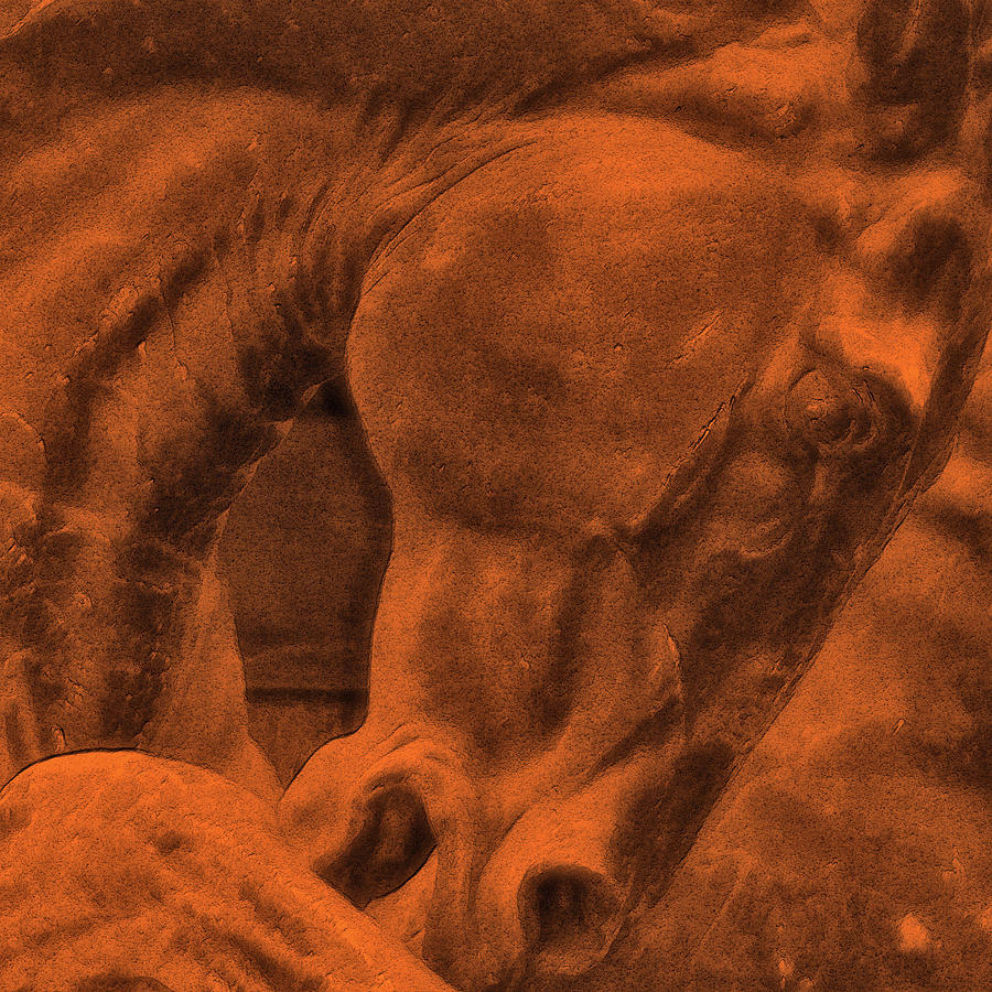 Red Horse Art Photograph by Dressage Design
