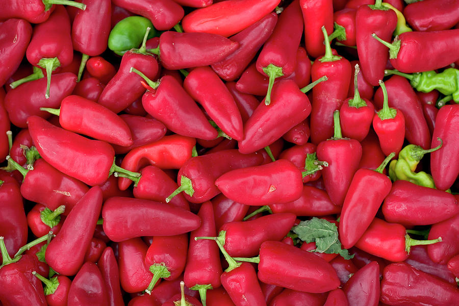 Red Hot Chili Peppers Photograph by Grapegeek