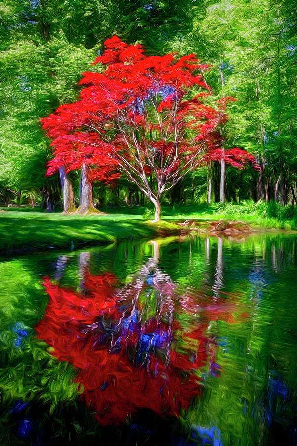 Fall Photograph - Red Japanese Maples Painting by Debra and Dave Vanderlaan