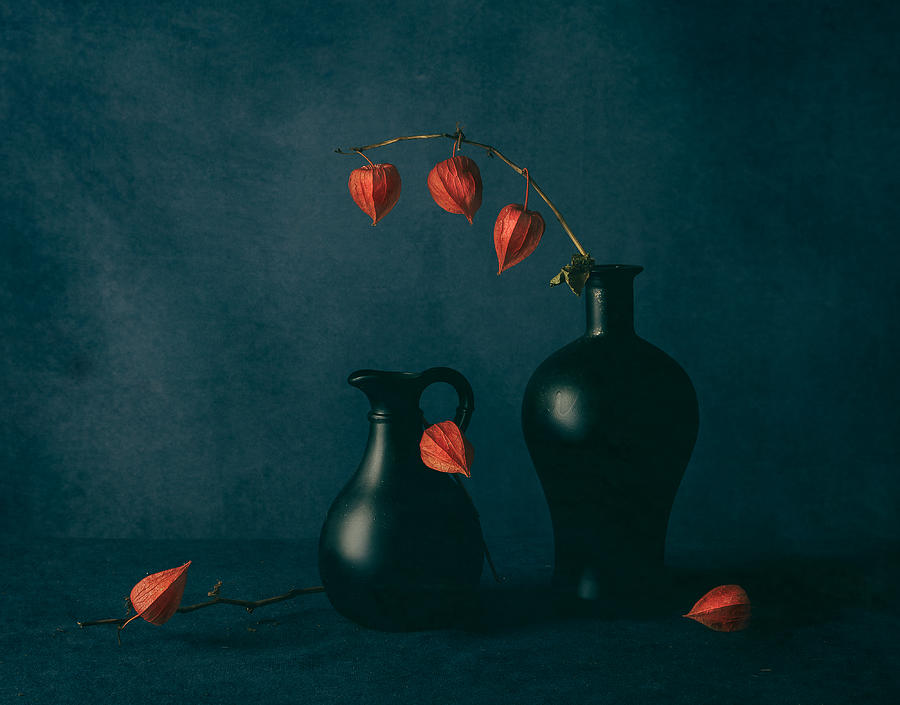 Still Life Photograph - Red Lanterns by May G