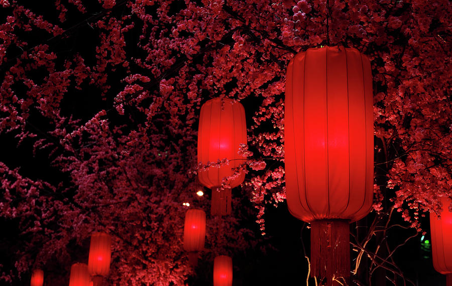 Red Lanterns Photograph by Orchidpoet