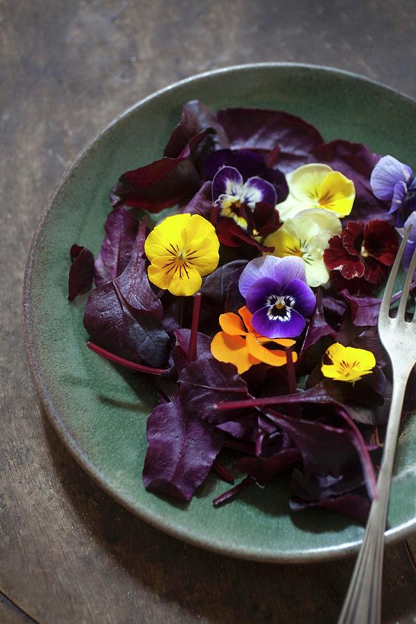 Red Lettuce Leaves With Edible Flowers Photograph by Stepien, Malgorzata