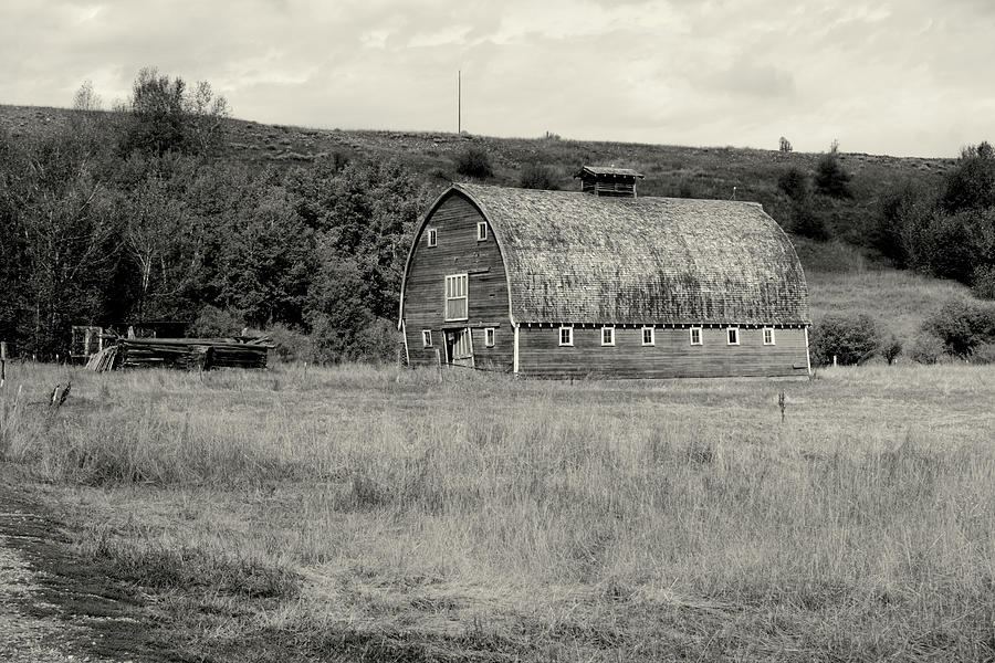 Red Lodge MT Barn Black and white Photograph by Cathy Anderson