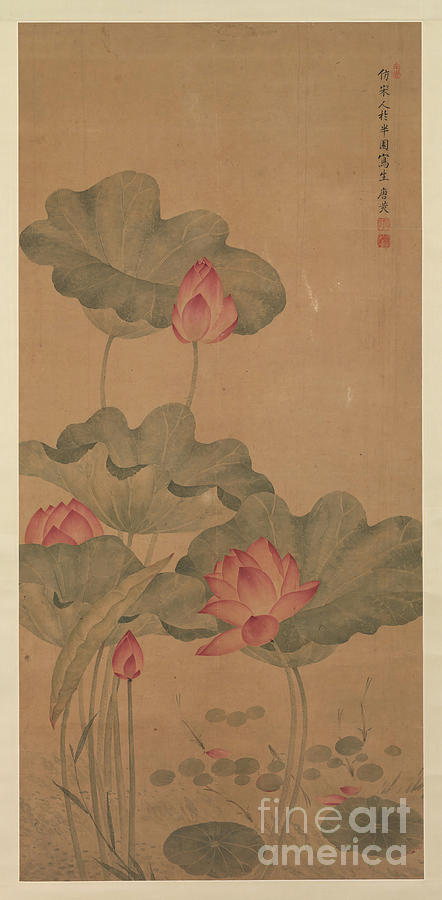 Red Lotus And Fish. Creator Tang Guang Drawing by Heritage Images