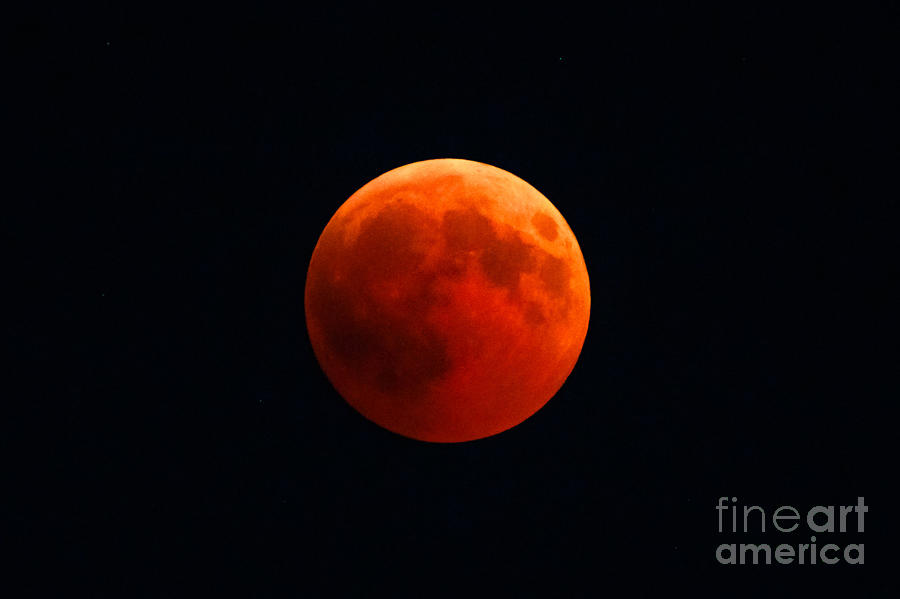 Red lunar eclipse Photograph by Benny Marty