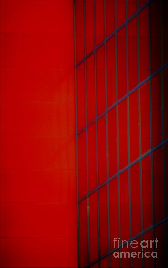 Red Photograph by Merle Grenz