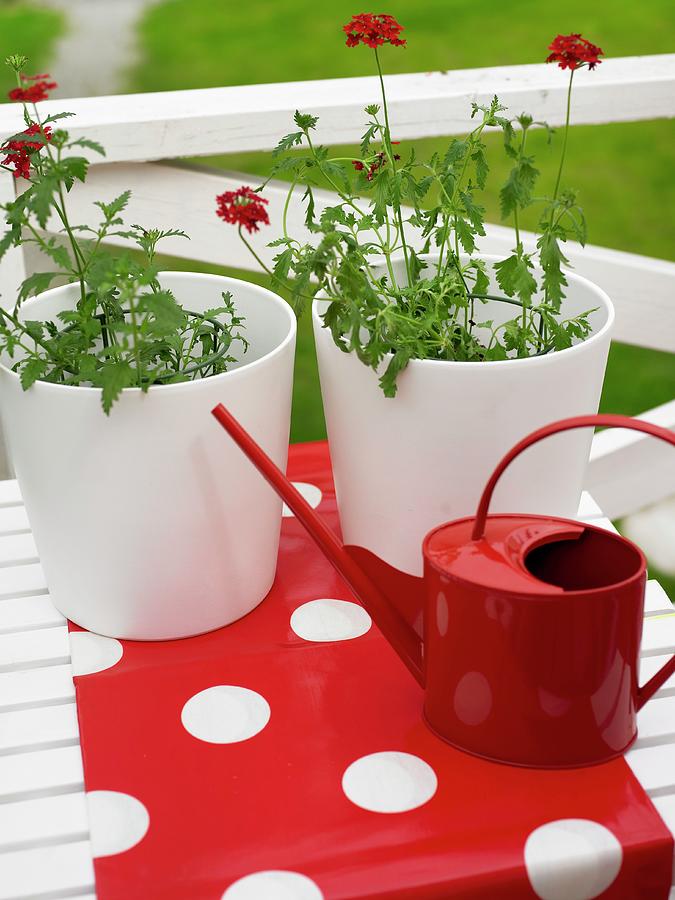 Red, Metal Watering Can And White Plant Pots On A Fed Table Runner With Dots Photograph by Per Magnus Persson