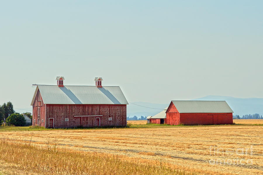 Red Montana Barns Photograph