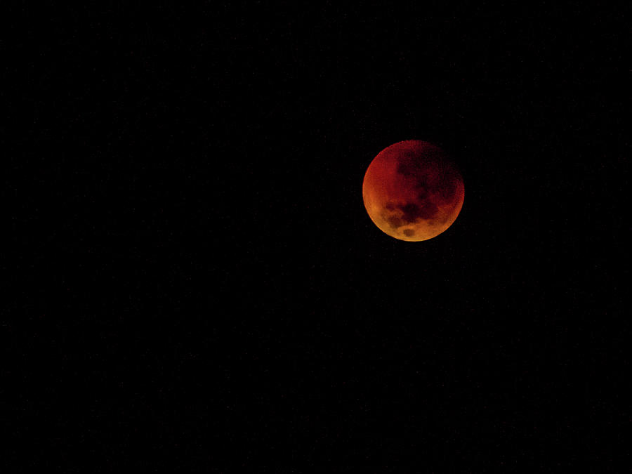 Red Moon Photograph by Kf Shots