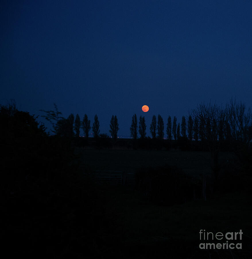 Red Moon photo 16 by Jenny Potter Red Moon photo 16 by Jenny Potter