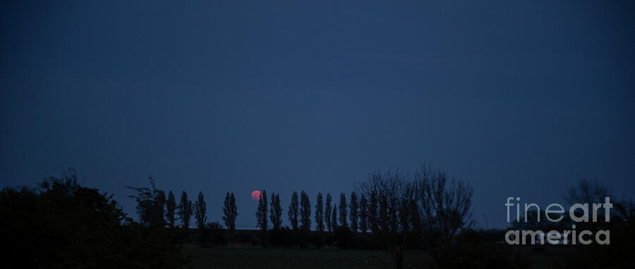 Red Moon photo 3 by Jenny Potter Red Moon photo 3 by Jenny Potter