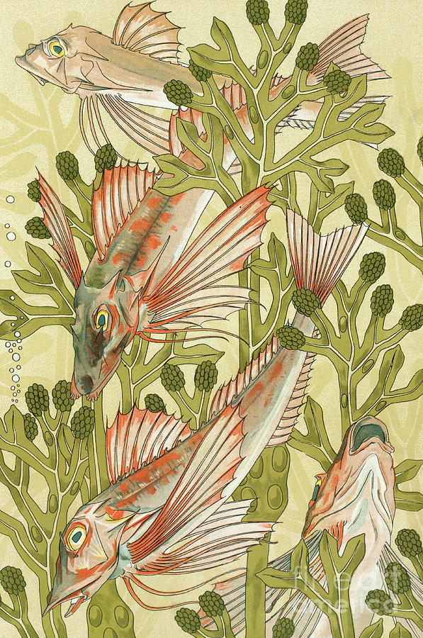 Red Mullet Painting by Maurice Pillard Verneuil