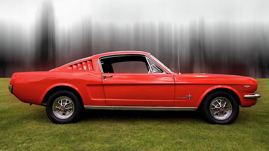 Red Mustang Photograph by Carl H Payne