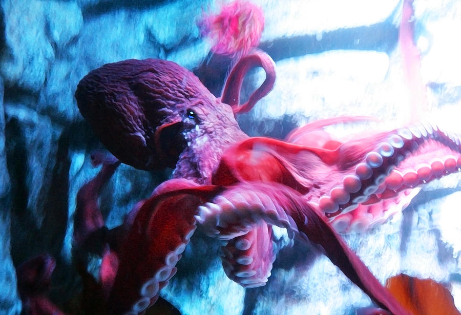Octopus Digital Art - Red Octopus by Anthony Jones