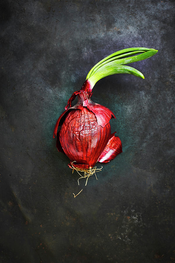 Red Onion On Black Ground, Elevated View Photograph by Westend61
