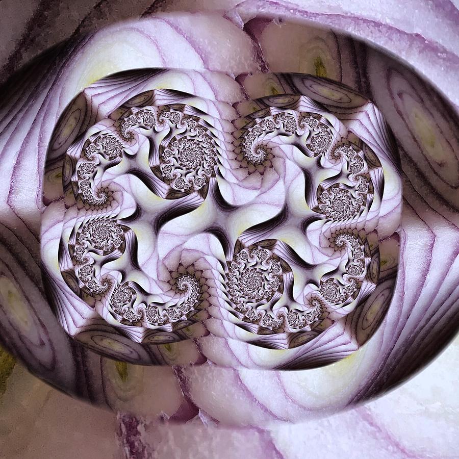 Red onion by Silvia Marcoschamer Red onion by Silvia Marcoschamer