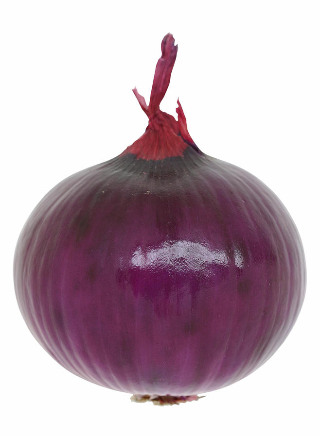Onion Photograph - Red Onion by Suzifoo