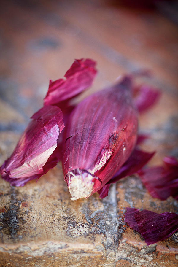 Red Onions Photograph by Eising Studio