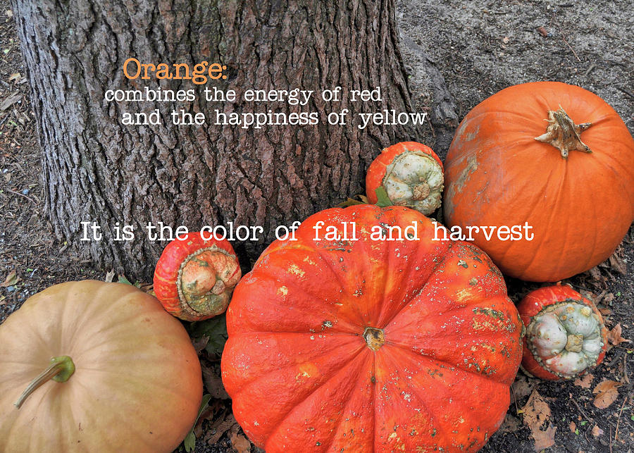RED ORANGE quote Photograph by JAMART Photography