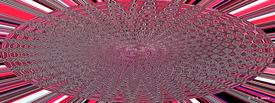 Red Oval Saguaro Forest Abstract Digital Art by Tom Janca