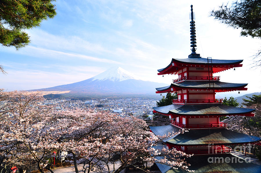 Cherry Photograph - Red Pagoda With Mt Fuji by Sanupot