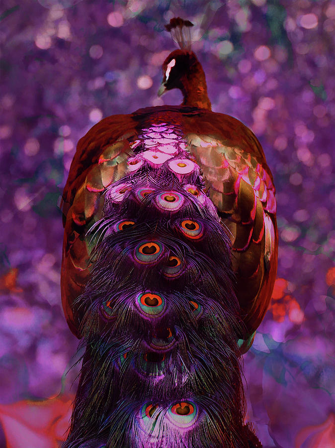 Red Peacock Spirit Animal  Digital Art by Kandy Hurley