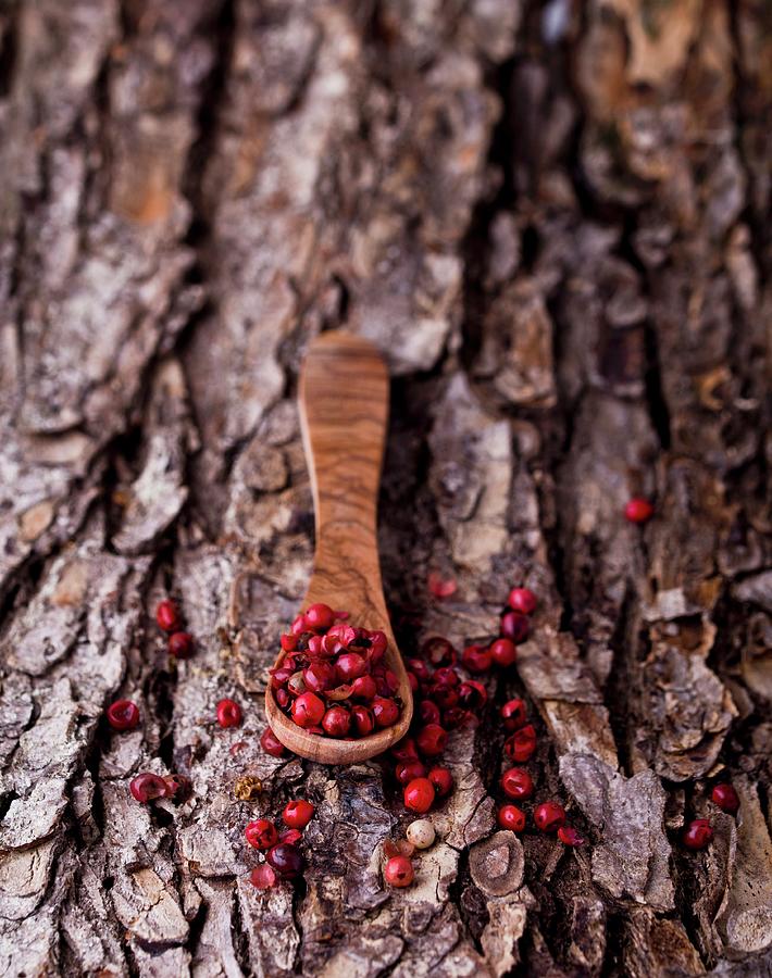 Red Peppercorns On A Wooden Spoon On A Piece Of Bark Photograph by Dorota Indycka