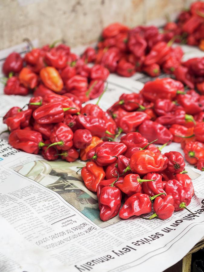 Red Peppers At A Local Market In Dar Es Salaam, Tanzania Photograph by Magdalena Paluchowska