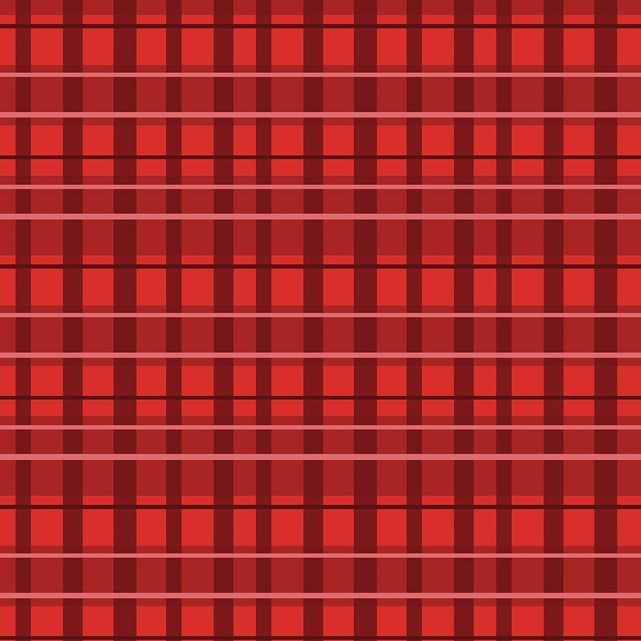 Christmas Photograph - Red Plaid by Valarie Wade