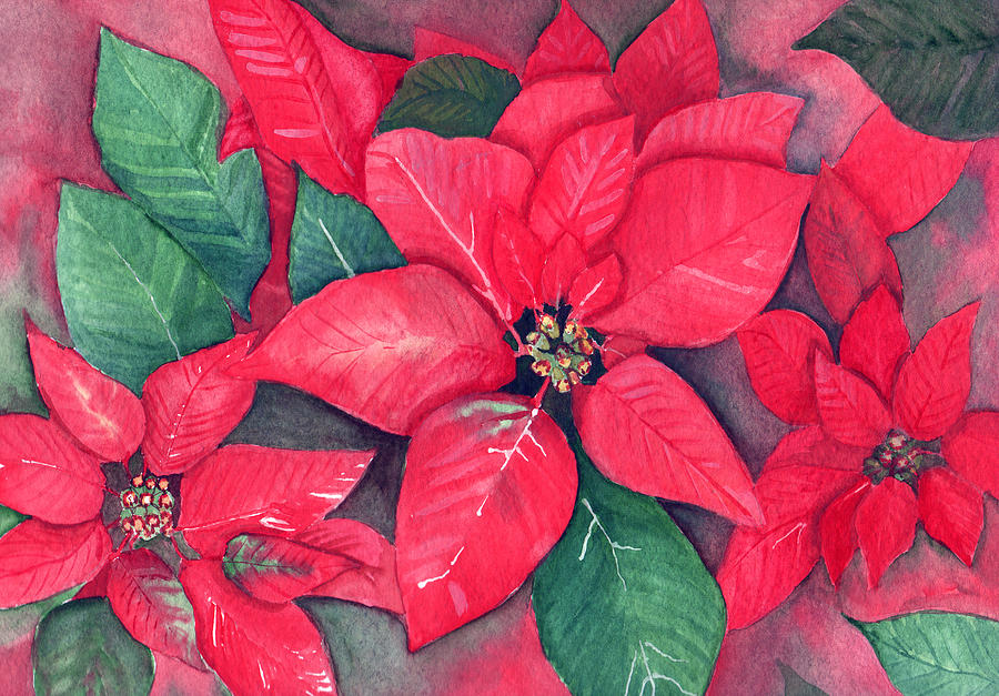 Red Poinsettias Painting by Dorothy Riley