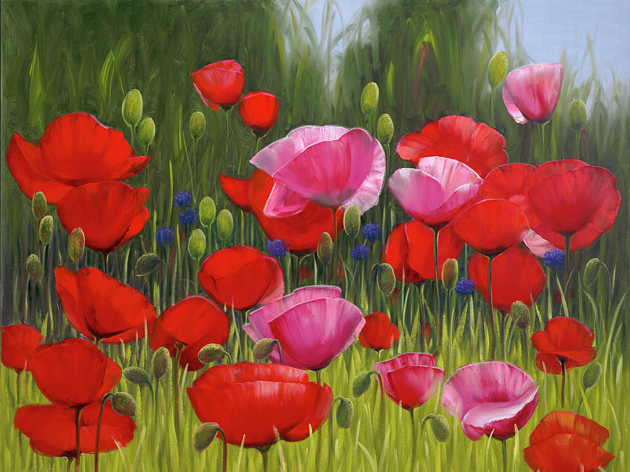 Red Poppies Painting by Edward Park - Fine Art America