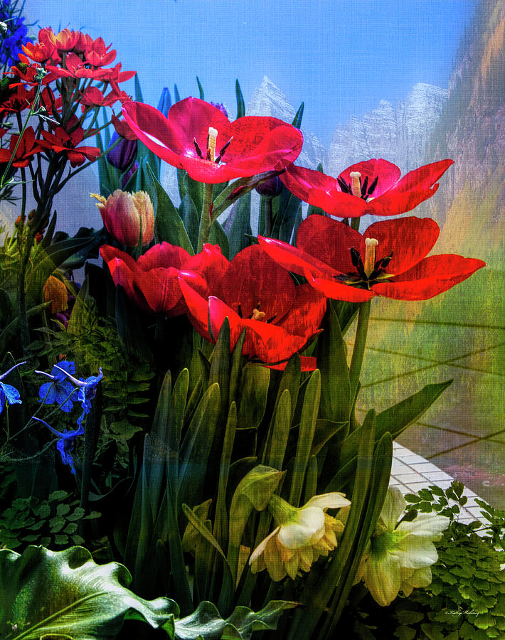 Red Poppies by Kathy Maloney Red Poppies by Kathy Maloney