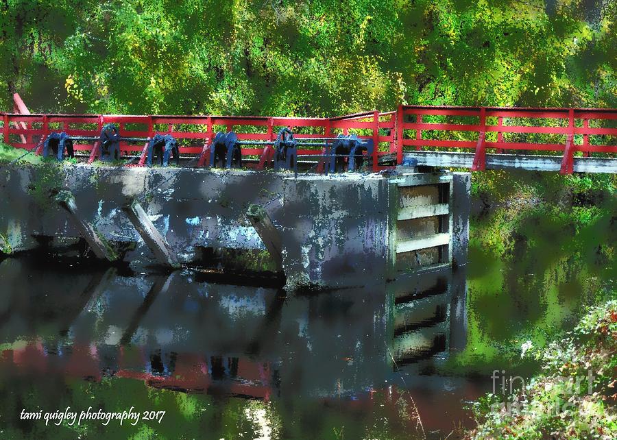 Red Pops Along The Canal Photograph by Tami Quigley