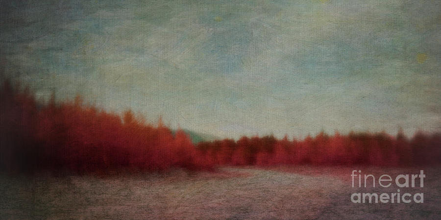 Autumn in red Photograph by Priska Wettstein