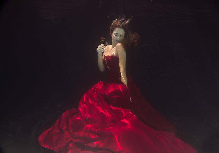 Flower Photograph - Red Queen by Gabriela Slegrova
