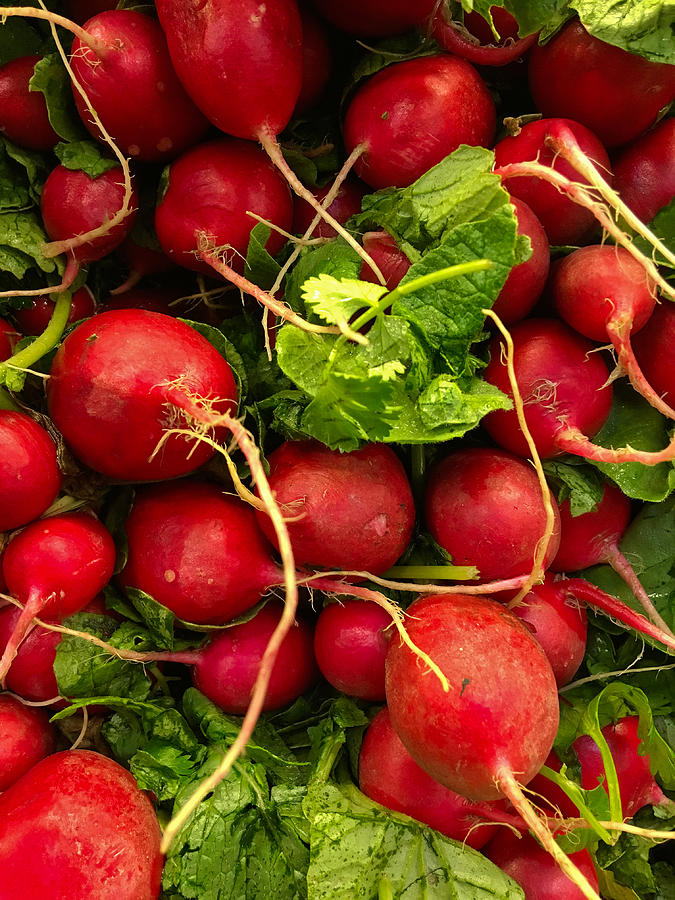 Red Radishes by Nathan Little Red Radishes by Nathan Little