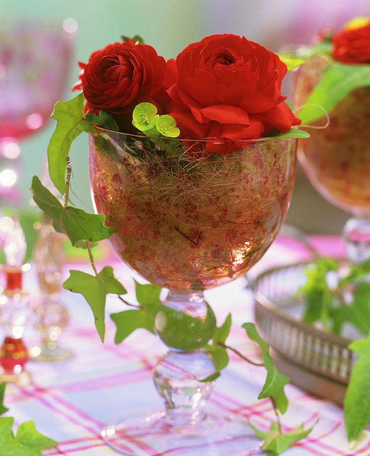 Red Ranunculus With Ivy And Sisal In Wine Glass Photograph by Friedrich Strauss