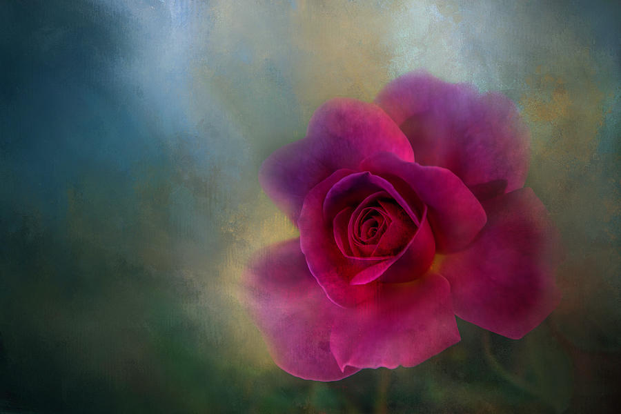 Red, Red Rose Textured Digital Art by Terry Davis - Fine Art America