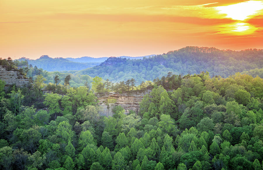 Red River Gorge Photograph by Alexey Stiop