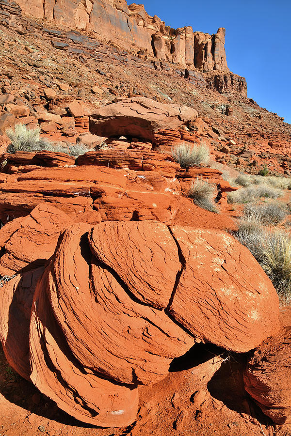 Red Rock Beauty near Moab Utah Photograph by Ray Mathis
