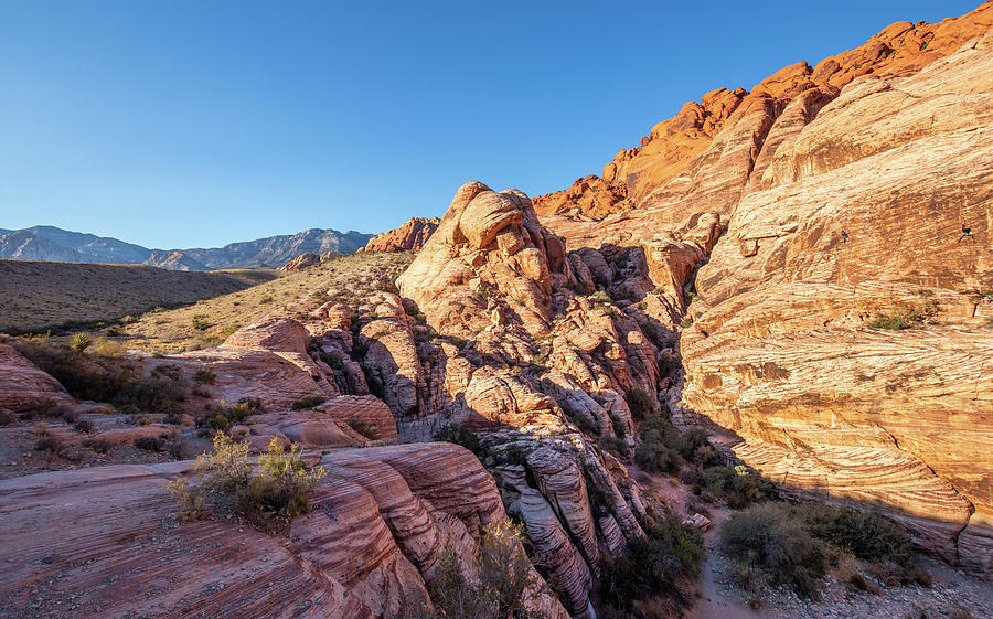 Red Rock Canyon Photograph by David Hart