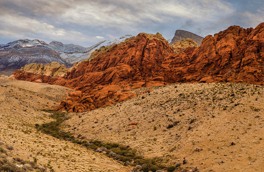 Red Rock Canyon Photograph by Joe Granita