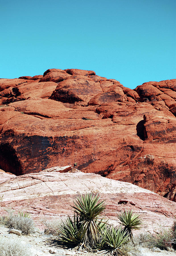 Red Rock Canyon - The Wild West Photograph by Sharon Kalstek-Coty ...
