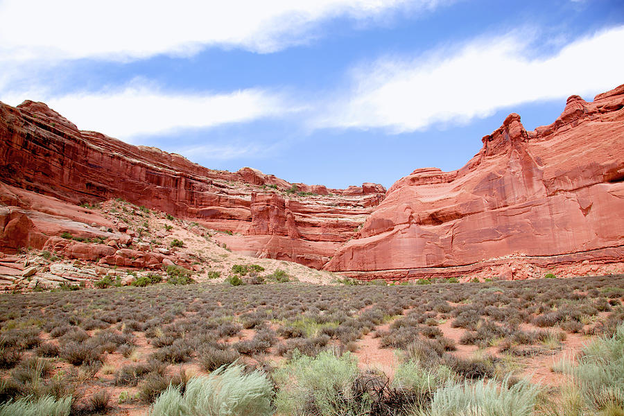 Red Rock Formation At Arches National Photograph by Pastorscott