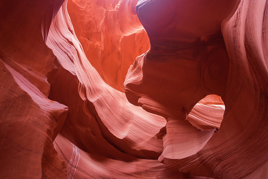 Red Rock Formations In The Slot Canyon Of The Lower Antelope Canyon Near Page, Usa Photograph by Bastian Linder