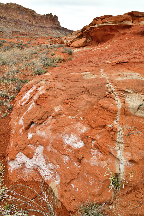 Red Rock Mosaics near Moab Photograph by Ray Mathis