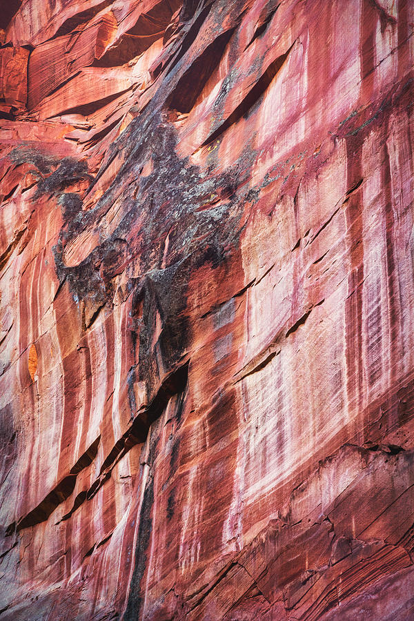 Abstract Photograph - Red Rock Patterns  by Saija Lehtonen