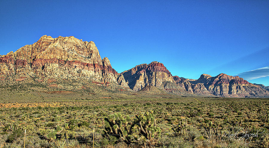 Red Rocks Canyon Landscape Photograph by Mark Joseph