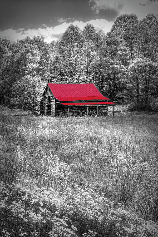 Red Roof Country in Black and White Photograph by Debra and Dave Vanderlaan